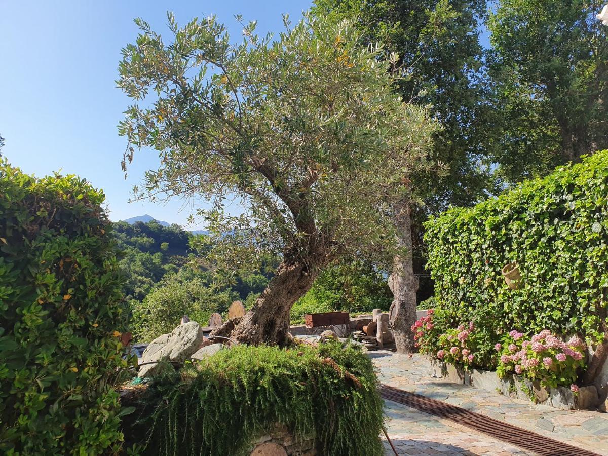 Maison De Charme Avec Piscine Et Vue Exceptionnelle Scolca Dış mekan fotoğraf