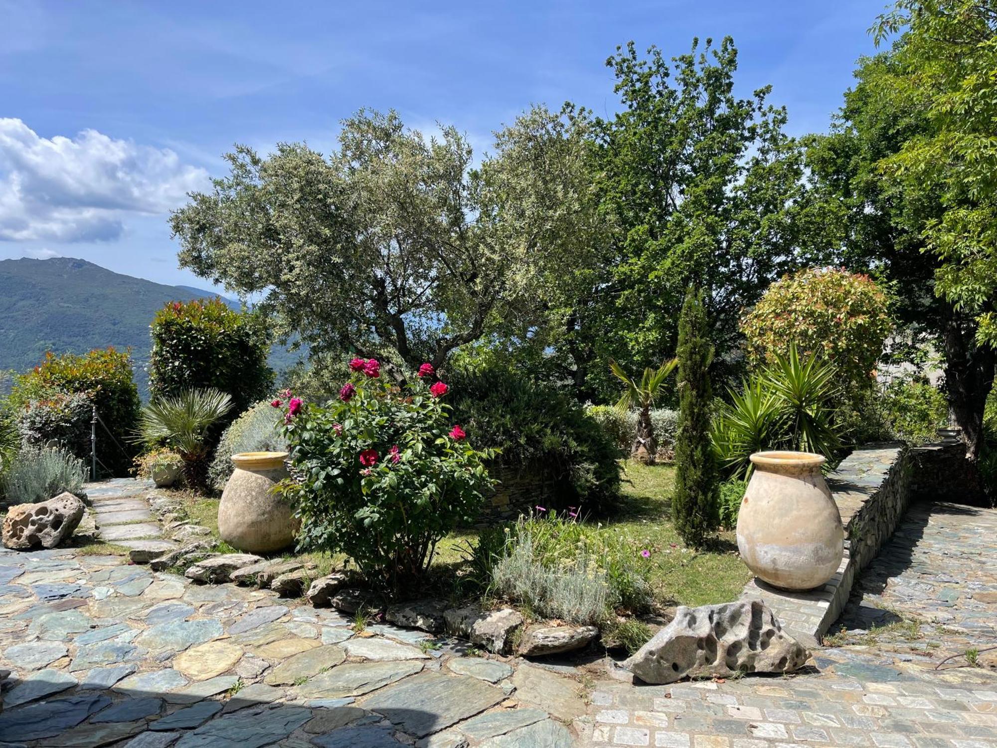 Maison De Charme Avec Piscine Et Vue Exceptionnelle Scolca Dış mekan fotoğraf